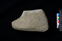 藏品(磨製石斧殘件)的圖片