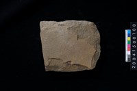 藏品(打製石斧殘件)的圖片