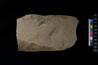 藏品(打製石斧殘件)的圖片