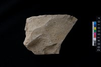 藏品(磨製石斧殘件)的圖片