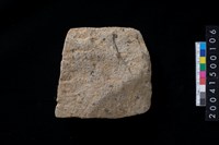 藏品(磨製石斧殘件)的圖片