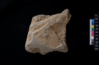 藏品(磨製石斧殘件)的圖片