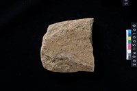 藏品(磨製石斧殘件)的圖片