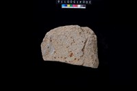 藏品(磨製石斧殘件)的圖片