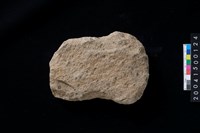 藏品(磨製石斧殘件)的圖片