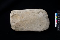 藏品(磨製石斧)的圖片