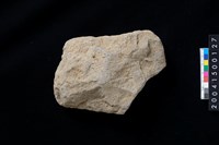 藏品(磨製石斧殘件)的圖片