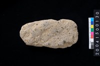 藏品(磨製石斧)的圖片