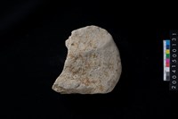 藏品(磨製石斧殘件)的圖片