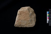 藏品(磨製石斧殘件)的圖片