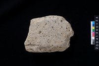 藏品(磨製石斧殘件)的圖片