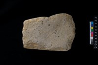 藏品(磨製石斧)的圖片