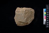 藏品(磨製石斧殘件)的圖片