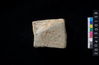 藏品(磨製石斧殘件)的圖片