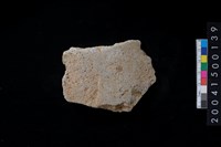 藏品(磨製石斧殘件)的圖片