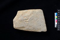 藏品(磨製石斧殘件)的圖片