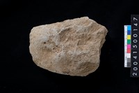 藏品(磨製石斧殘件)的圖片