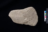 藏品(磨製石斧殘件)的圖片