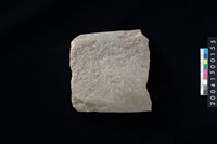 藏品(磨製石斧殘件)的圖片