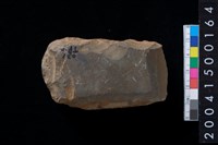 藏品(有段石錛)的圖片