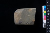 藏品(有段石錛殘件)的圖片