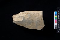 藏品(有段石錛殘件)的圖片