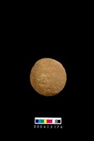 藏品(石錘)的圖片