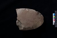 藏品(石犁殘件)的圖片