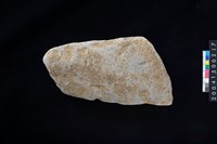 藏品(磨製石斧殘件)的圖片