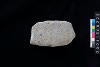 藏品(磨製石斧)的圖片