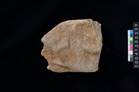 藏品(磨製石斧殘件)的圖片