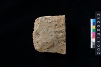 藏品(磨製石斧殘件)的圖片