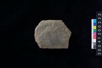 藏品(磨製石斧殘件)的圖片