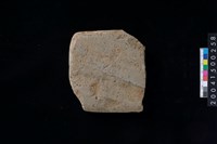 藏品(磨製石斧殘件)的圖片