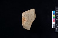 藏品(磨製石斧殘件)的圖片