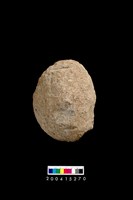 藏品(砍砸器)的圖片