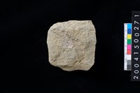 藏品(打製石斧殘件)的圖片