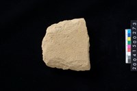 藏品(打製石斧殘件)的圖片