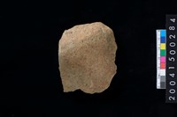 藏品(磨製石斧殘件)的圖片