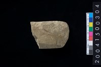 藏品(磨製石斧殘件)的圖片