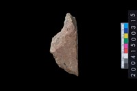 藏品(打製有肩石斧殘件)的圖片