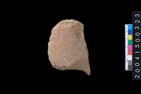 藏品(打製有肩石斧殘件)的圖片