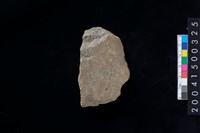 藏品(打製石斧殘件)的圖片