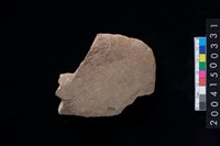 藏品(打製石斧殘件)的圖片