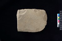 藏品(打製石斧殘件)的圖片