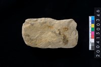 藏品(打製石斧)的圖片