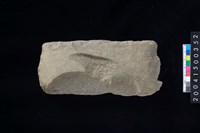 藏品(打製石斧殘件)的圖片