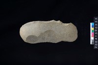 藏品(磨製石斧)的圖片