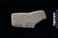 藏品(磨製石斧殘件)的圖片