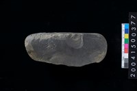 藏品(石錘)的圖片